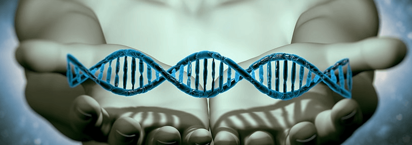 Clipart:2ydswgyo2fu= Dna