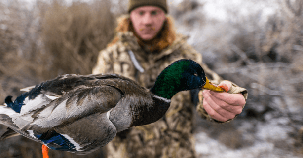 Why the Best Duck Calls Are Essential for Your Hunting Gear