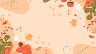 Cute:2u-Bqxoije0= Fall Background Aesthetic