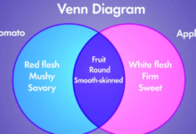 Transparent:2_H9jdszkvq= Venn Diagram