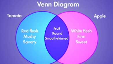 Transparent:2_H9jdszkvq= Venn Diagram