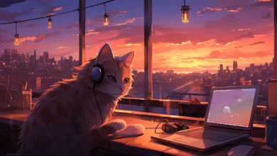 Anime:5vnlw021cuy= Cute:6j_67cx_Pgi= Cat