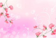 Background:9zf6-Spl0as= Pink Flower Wallpaper