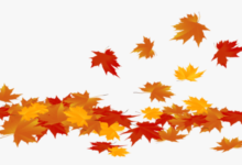 Transparent Background:1xnr_Snlz1k= Fall Leaves Clipart