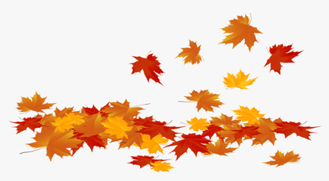 Transparent Background:1xnr_Snlz1k= Fall Leaves Clipart