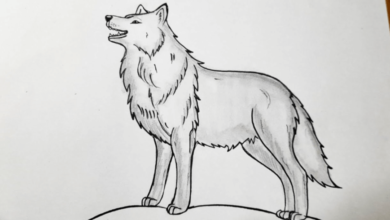 Simple:3rjy5w1g1eg= How to Draw a Wolf Easy