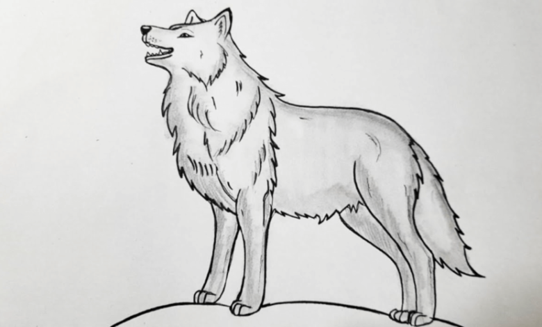 Simple:3rjy5w1g1eg= How to Draw a Wolf Easy