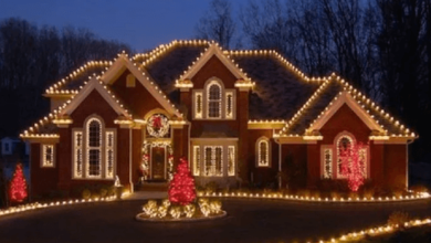 Christmas Light Installations