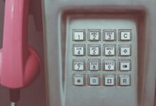 phone numbers and ids